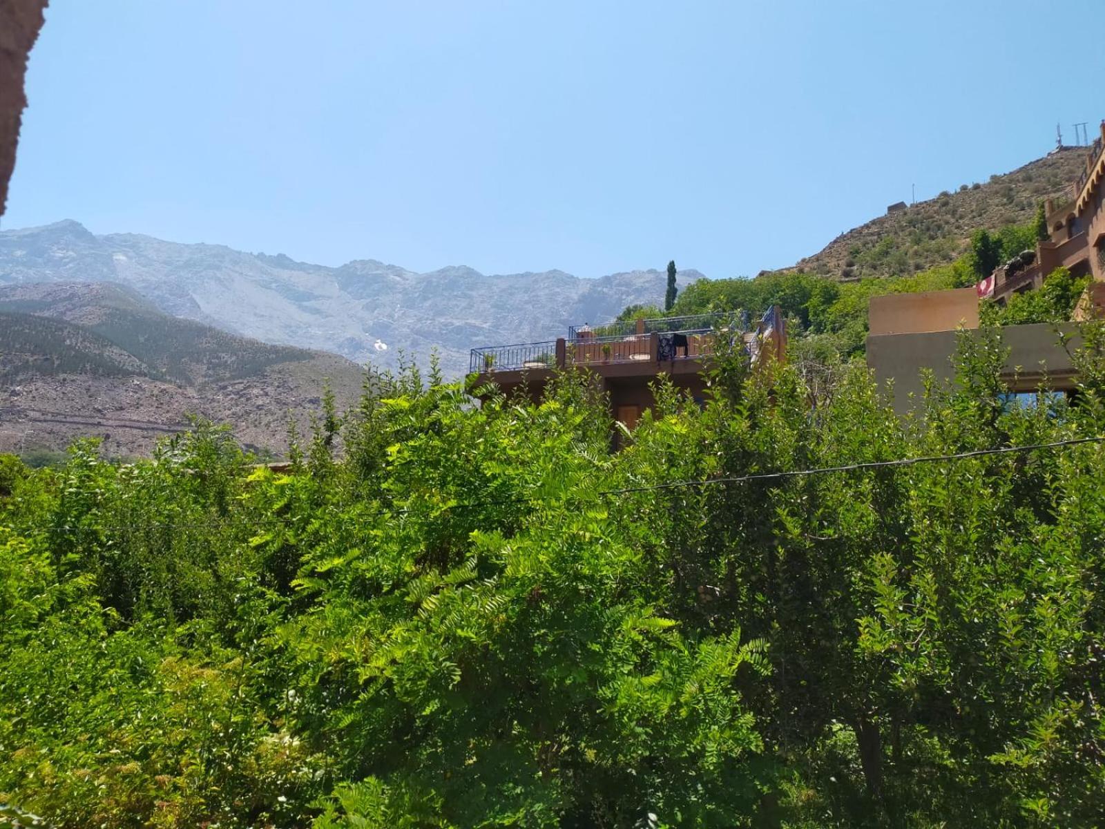 אימליל Atlas Haven מראה חיצוני תמונה
